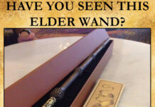 Police, Netizens Hunt For Lost Elder Wand