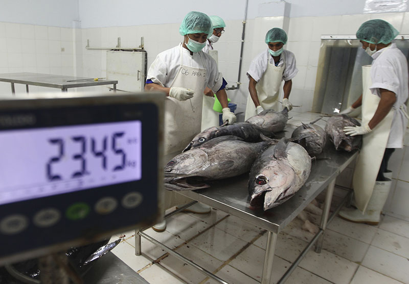 Workers weigh newly landed tuna before they are given barcodes on Sept. 9, 2015, at a port facility in Benoa, Bali, Indonesia. The bar-code will give each fish a tag that can provide details about the location,it was caught, boat, species, weight and could easily be expanded to include crews on individual boats to help fight against labor abuse. Photo: Firdia Lisnawati / Associated Press