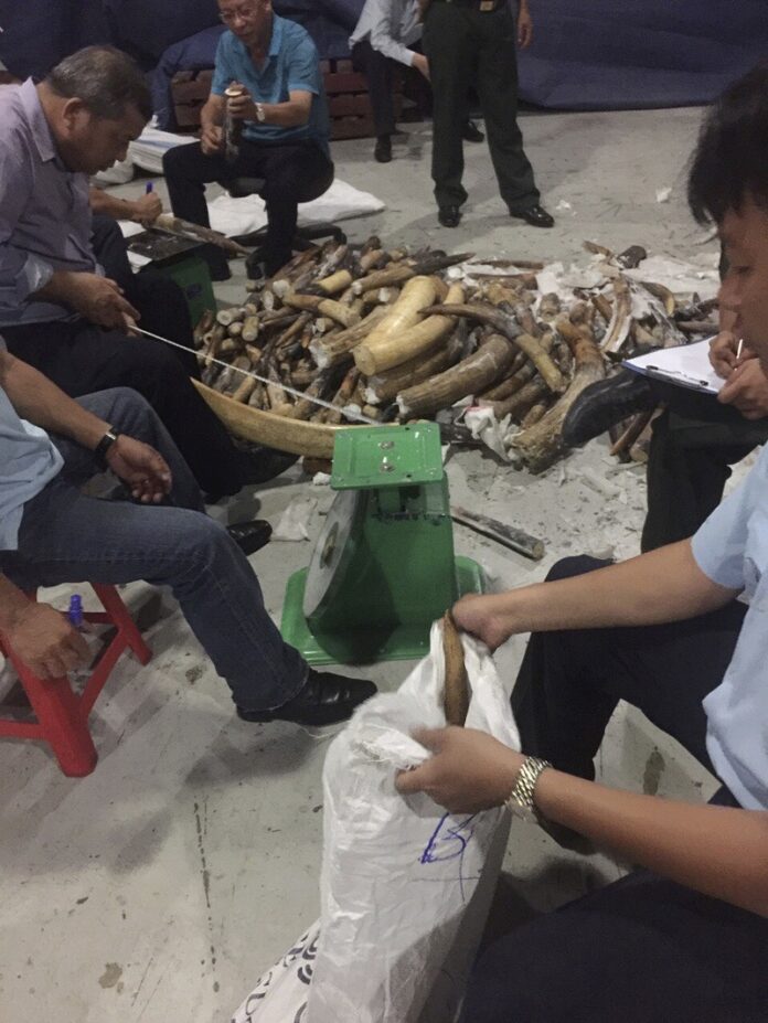 Vietnamese officials check seized ivory Thursday in Ho Chi Minh City, Vietnam. Photo: Le Thu Hoa / Associated Press