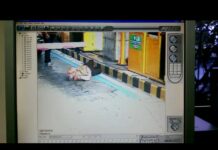 Passenger Who Beat Guard Senseless At Tollbooth Confesses to Assault