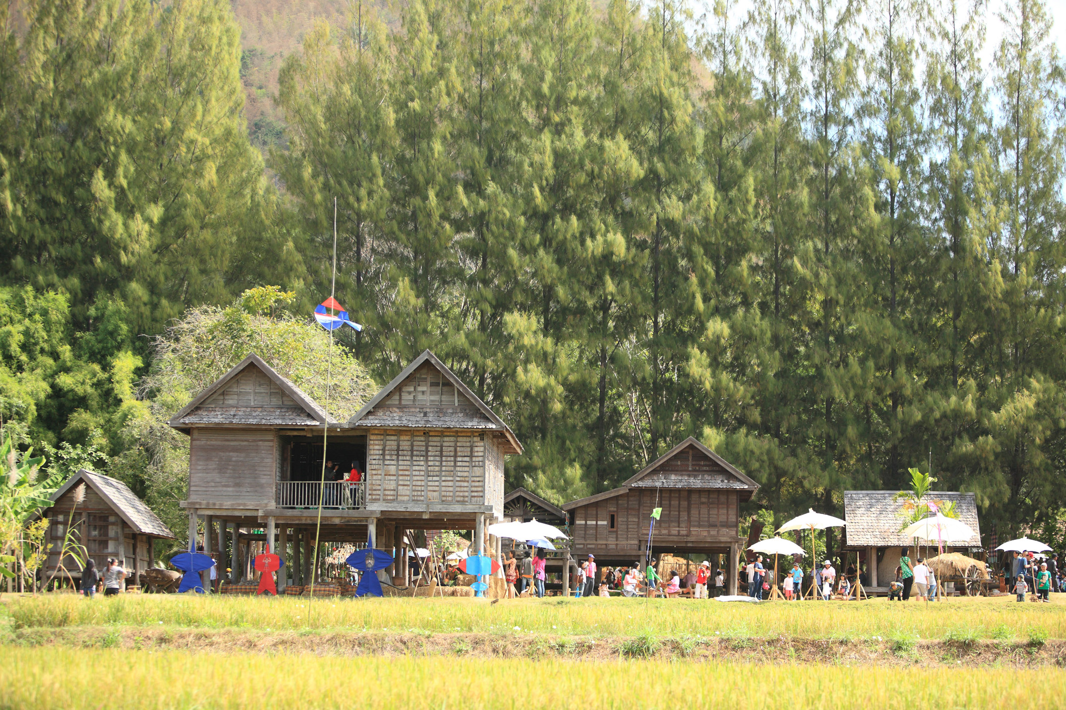 Photo: Jim Thompson Farm / Courtesy 