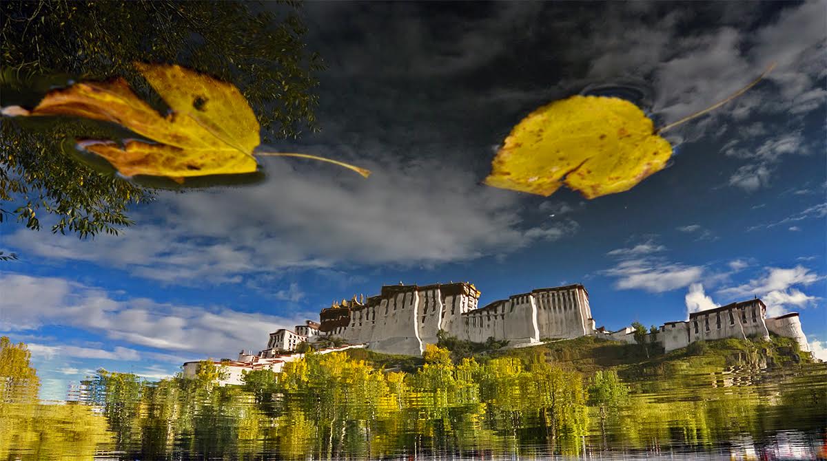 Photos courtesy: Xinhua News Agency 