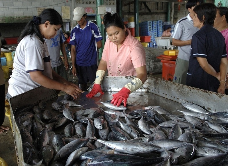 Burmese migrants work in fishing boats and coastal communities in Phang Nga, Southern Thailand. Photo: IOM / Courtesy