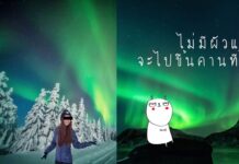 Memes Take Flight Attendant’s Online Deception to New Heights