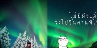 Memes Take Flight Attendant’s Online Deception to New Heights