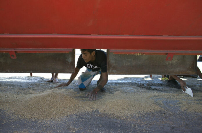 A young man collects rice that fell from a cargo truck waiting to enter the port and refill in Puerto Cabello, Venezuela on Nov. 14. Photo: Ariana Cubillos / AP.
