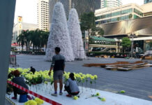 No Christmas Tree at CTW? Now There’s Two.
