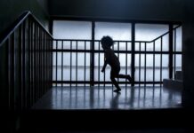 Kidnapped by Time, Boy Captured in Photos