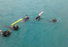Bad Weather Disrupts Search for Japanese Diver