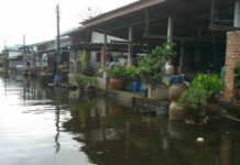 Fresh Monsoon Brings Triple-Whammy to Flooded South