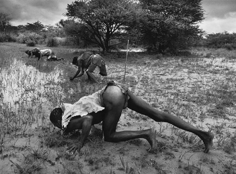‘Bushmen’ taken in 2008 in Botswana. Photo: Sebastião Salgado / Facebook 
