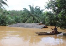 19 Die as Floods Continue to Submerge South