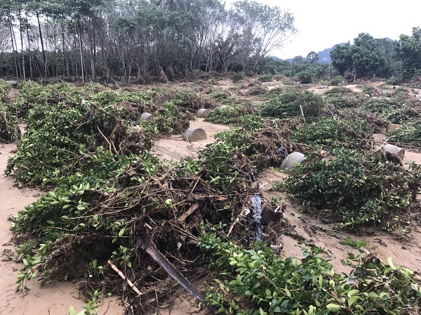 Devastation at a lime plantation on Monday in Surat Thani province.