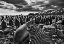 Brazilian Master Photog’s Snaps to Stun Bangkok