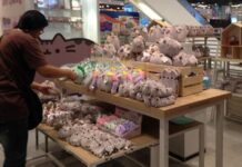 Internet Fat Cat ‘Pusheen’ Invades Paragon