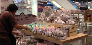 Internet Fat Cat ‘Pusheen’ Invades Paragon