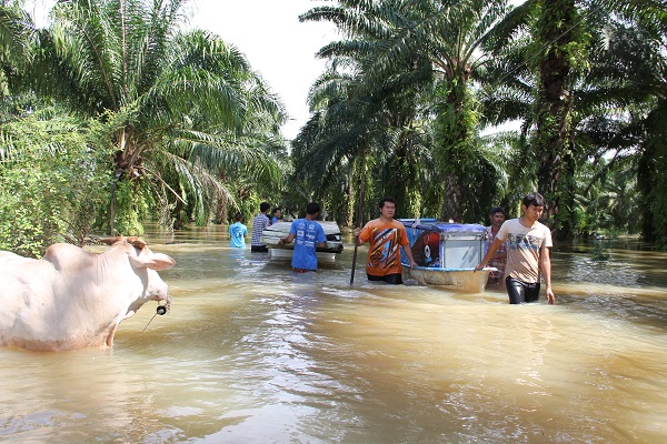 People evacuate their flooded homes Thursday in Surat Thani province.