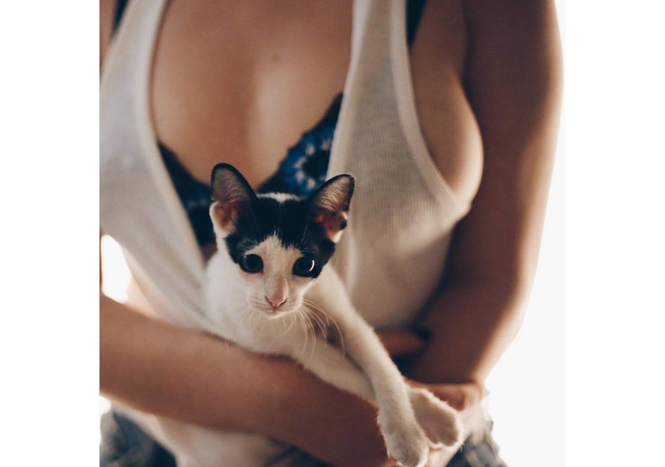 Kitten Escorts