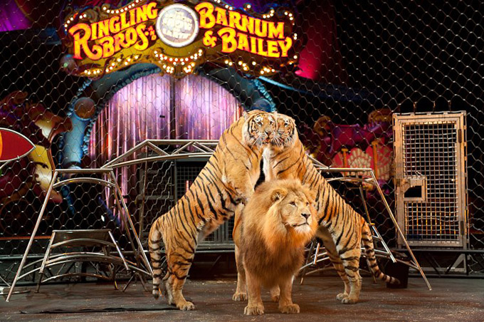 circus