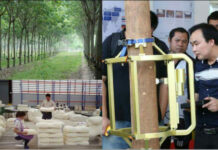 Tech and Agriculture Combine at ‘Rubber Day’ in Bueng Kan