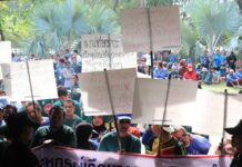 Phi Phi Park Chief Denies Being Forced Out Over ‘Farang Pricing’