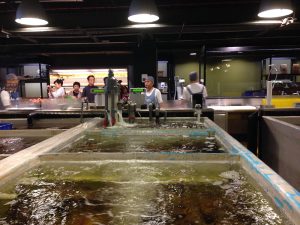 Inside the Taipei Fish Market.