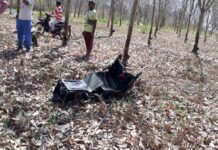 Pilot Ejects Over Loei, Severely Injured by Fall