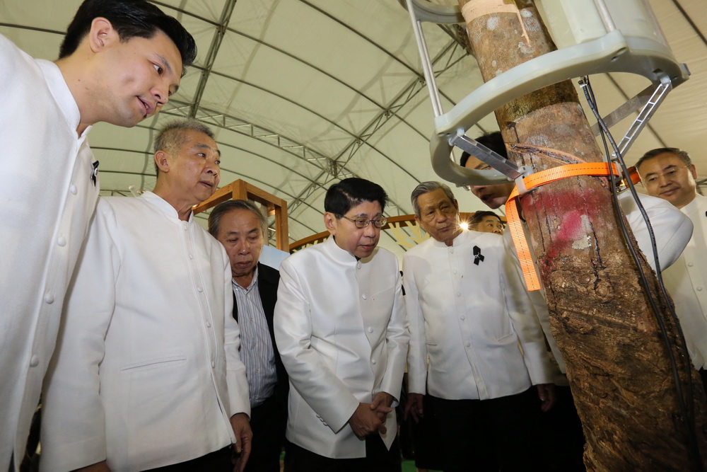 Deputy Prime Minister Wissanu Krea-ngam tours an agricultural exhibition at Bueng Kan Red Cross and Rubber Day 2017 