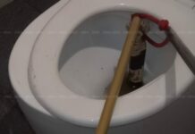 Close Call! Man Escapes Toilet Cobra Ambush Unscathed