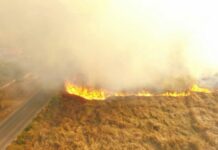 Devastating Forest Fire Blamed on Hunters, Foragers
