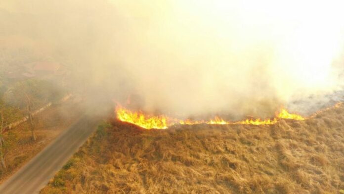 A forest fire races across dry brush Thursday morning in Lampang province. Photo: Matichon
