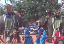 Thailand’s All About its Elephants Today (Photos)