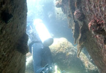 Remains Found Off Koh Tao Not of Missing Russian