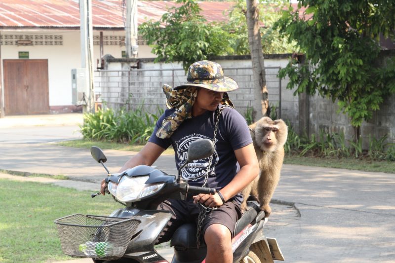 Chaiwat Peungnoi with Khai Nui.