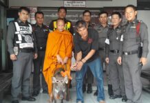 Boxer Arrested for Snatching Fake Bling From Bangkok Monk’s Pig