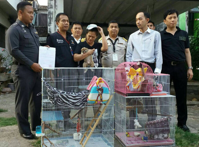 Kalyaporn Rukthum, 30, is posed with the wildlife she allegedly was selling from her Bangkok home as police take her into custody Monday.