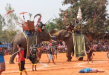 Dispute Over Borrowed Elephants Leads to Lese Majeste Charge