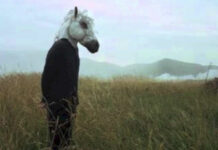 Pop-Up Art, Films and Music at Flatpack Fest