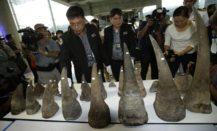 Thailand Rhino Horn