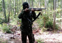 Forest Ranger Sacked For Poaching in His Own Forest