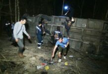 Students, Teachers Die in Field Trip Bus Plunge