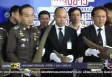 Rhino Horn Smugglers Had Police Escort at Suvarnabhumi Airport (Video)