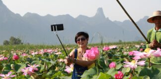 Field of Sacred Lotuses Bloom For First Time in a Decade (Video)
