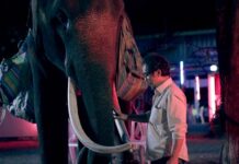 Savor ASEAN Cinema Frame by Frame at Free Fest
