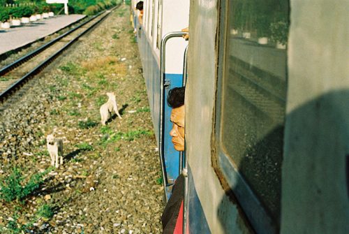 RailwaySleepers MoreStills 12