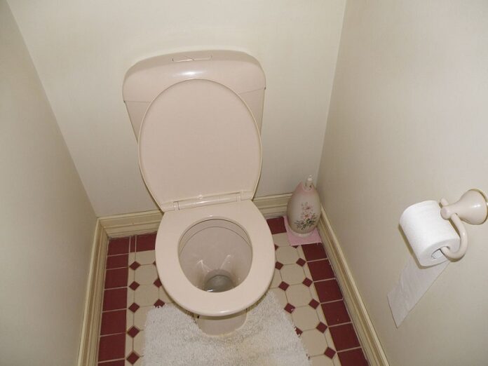 A toilet in 2009 in Australia. Photo: Matthew Paul Argall / Wikimedia Commons