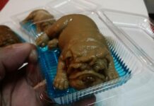 ‘Dog Jelly’ Horrifies Netizens, But Vendor Says Sales Swift