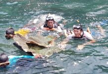 Task Force Weighed After 1,000-Year-Old Coral Stolen From Gulf Island