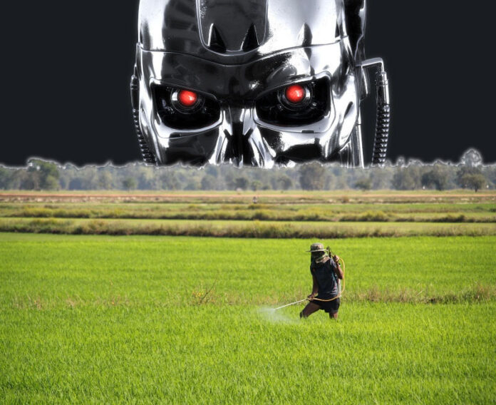 Original image: A farmer irrigates his rice fields in a 2013 photo. Photo: Chris Graham / Flickr