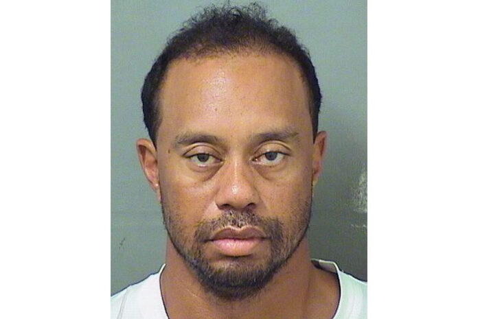 Tiger Woods in a mug shot taken Monday. Photo: Palm Beach County Sheriff